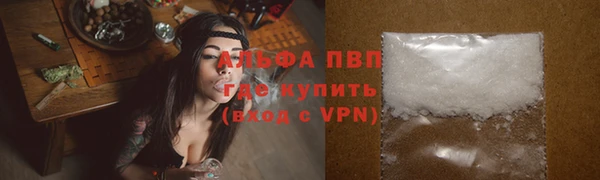 тгк Магас