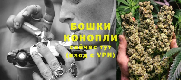 тгк Магас