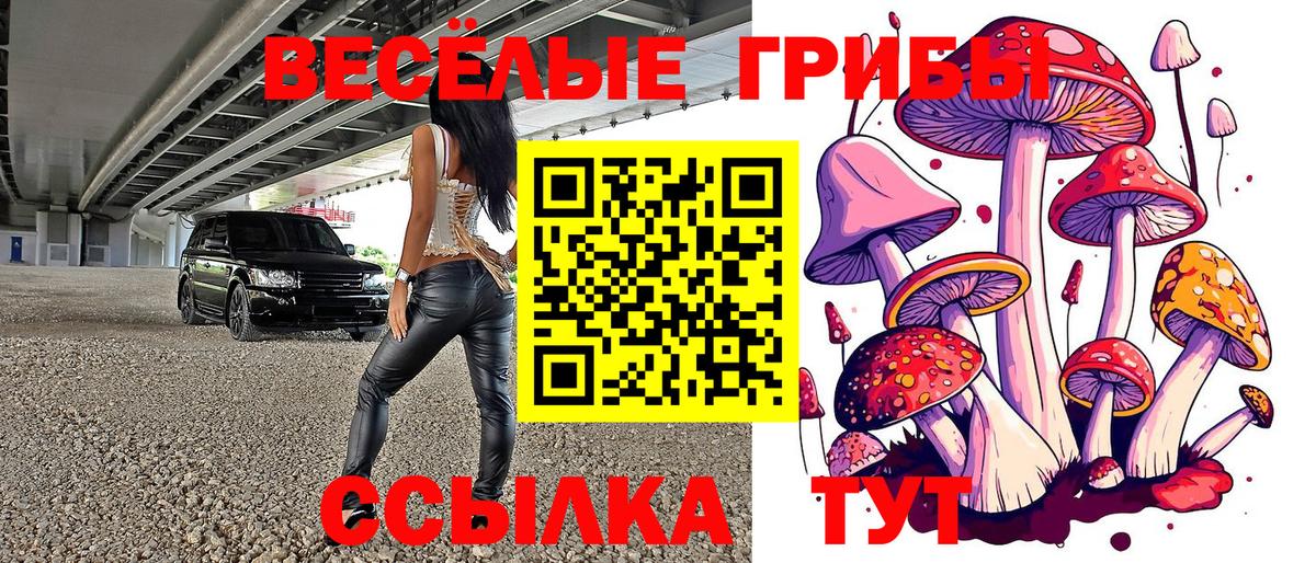 Псилоцибиновые грибы Psilocybine cubensis Саки