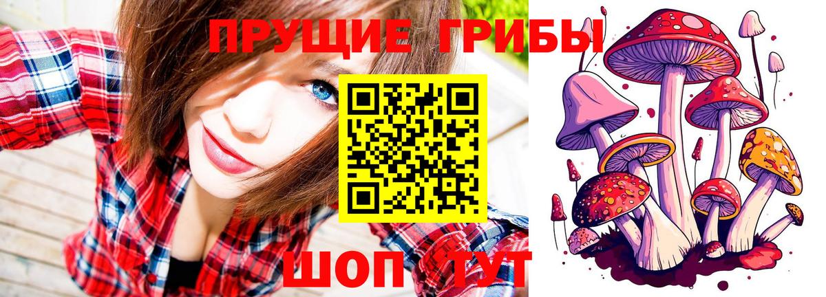 Саки  Галлюциногенные грибы Magic Shrooms  Вход с VPN 