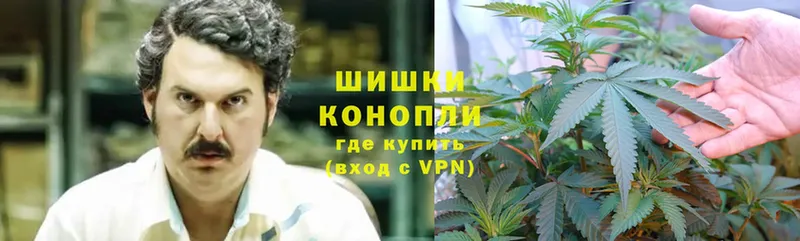 Каннабис White Widow  Саки 